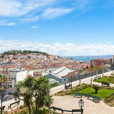 Chiado Prime By Homing